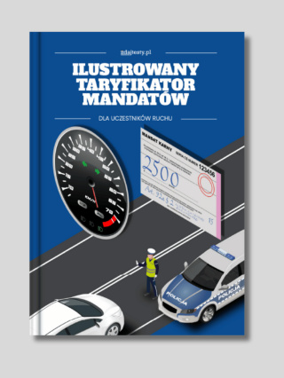 Ilustrowany taryfikator mandatów i punktów karnych 2025.