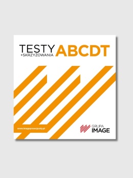 Testy na prawo jazdy 2026 – IMAGE – ABCDT + skrzyżowania – płyta DVD