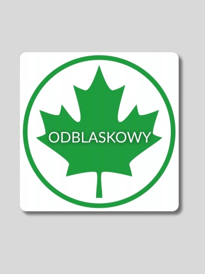 Zielony listek magnetyczny odblaskowy 12 × 12 cm – początkujący kierowca